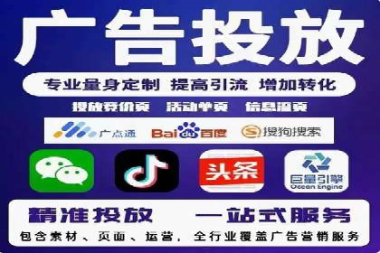 竞价广告策略案例分析